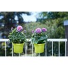 elho Basics Potholder Allin1 Metal Flower Pot, Lime Green, 27