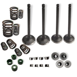 Valve Seal Spring Kit for Honda XR650 XR650L 1993-2023 NX650 1988-1989 XR600R 1988-2000 OEM# 14711-MG3-000 14721-MG3-000