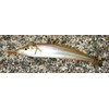 Berkley Gulp! Isome G2SQ 4-AKAISOME-BY Slender 4-Inch Red Isome, Sylogis