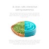 Pet Parents Forager Snuffle Mat y tazón de alimentación Lenta