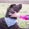 Pettsie Matching Dog Collar, Bandana, Friendship Bracelet, Durable Hemp, 4