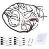 4L60E DBC Standalone Engine Wiring Harness for GM LS1 4L60E