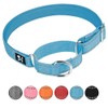 haoyueer Adjustable Martingale Safety Training Dog Collar, Soft Neoprene Padded