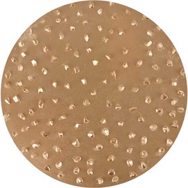 TapeTech Tungsten Carbide Sanding Disc 12 Grit 2pk