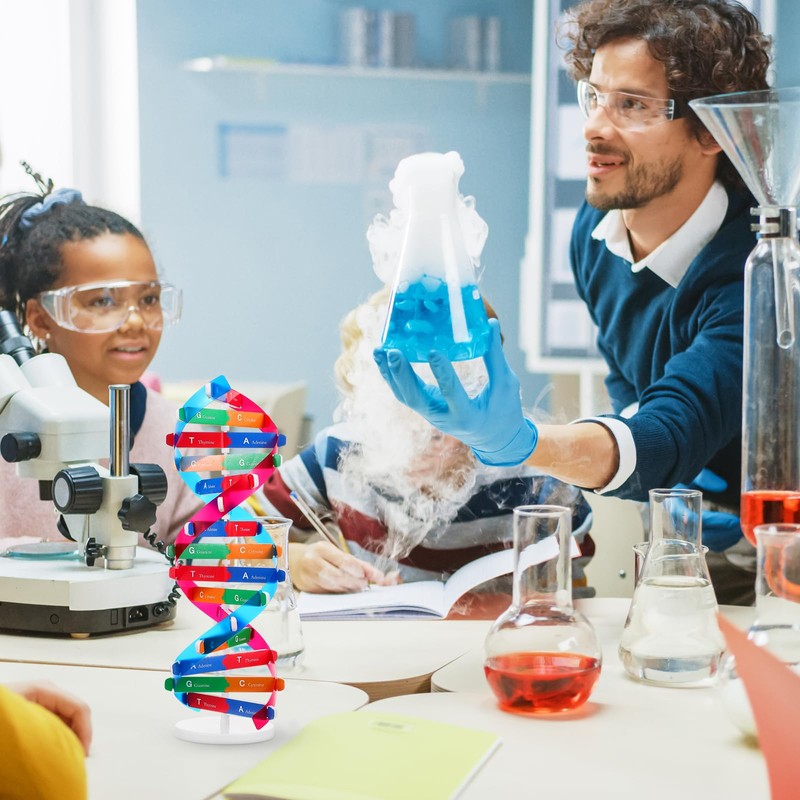 Toyvian DNA Models Double Helix Model Science Educational Teaching Instrument