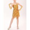 Happy Cherry Girl's Sequin Tassel Dress Latin Dance Skirt Costume