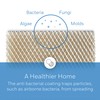 Honeywell Home HC12A1015 Whole House Humidifier Pad, Foam