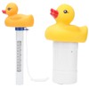 2Pcs Water Thermometer Set High Temperature Resistant Pool Chlorine Dispenser