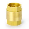 ERGAOBOY 2 Pcs One Way Brass Check Valve, 3/4" BSP