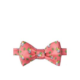 Alynn Men's 100% Silk Coral Mint Julep Derby Horse Racing Self Tie Bow Tie