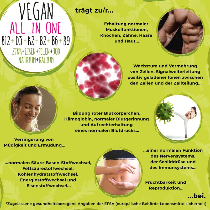 Vegan All-in-One - Vitamin B12+D3+K2+B2+B6+B9 Folic Acid + Zinc +