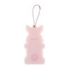 Sanrio Wish Memel ID Photo Holder (Enjoy Idol) 570079