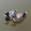 Cifavor Mallard Duck Hunting Decoys