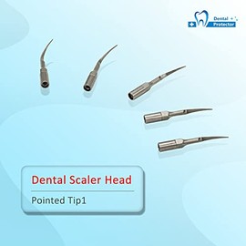 Punta dental mixta P1 * 10 ajuste de escala EMS, pájaro carpintero