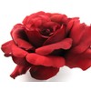 4.5" Red Rose Silk Flower Hair Comb