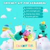 HTVRONT Crochet Kit for Beginners - Beginner Crochet Kit for