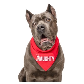 Naughty Dog Bandana | 100% Cotton | Made in USA | Christmas | Holiday Costume | Santa Claus & Elf | Stocking Stuffers | Photoshoot Prop |Green, One Size (105)