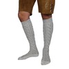 MS-Trachten Traditional Socks Traditional Socks Knee Top Socks (43, grey)