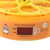 6 Egg Incubator Automatic Egg Turner with Temperature Control Poultry