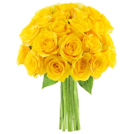 KaBloom PRIME NEXT DAY DELIVERY - Bouquet of 25 Yellow RosesDirect Fresh.Gift for Birthday, Sympathy, Anniversary, Get Well, Thank You, Valentine, Mother’s Day Fresh Flowers