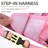 PUPTECK Dog Harness and Leash Set for Small Medium Dogs