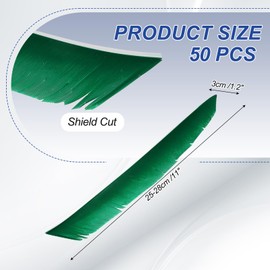PATIKIL Arrows Vanes, 50 Pack 11 Inch Turkey Feather Arrow Fletching Archery Arrow Feather Right Wing Shield Fletch for DIY Target Shooting, Green
