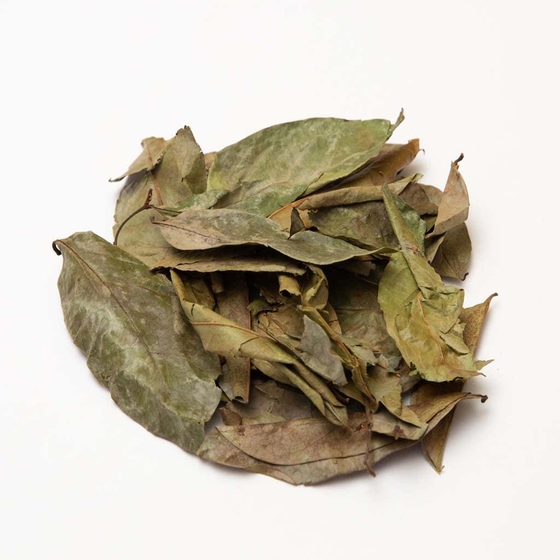 2oz Dried Soursop Tea Leaves, Graviola Loose Leaf Herbal Tea