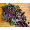 500 Red Russian Kale Seeds for Planting Heirloom Non GMO