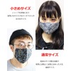 Quintet 11-msk-1001 Paisley Pattern Mask, Ethnic Summer Mask, Washable, Antibacterial,