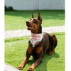 Dog Bandanas Girl 2 Pack, Small Dog for Dog Birthday