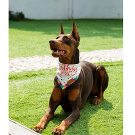 Dog Bandanas Girl 2 Pack, Small Dog for Dog Birthday Wedding Double Layer Fabric for All Breeds pet Scarf Durable (Pink3, Small)