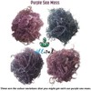Allital Purple Sea Moss - Raw Wildcrafted St Lucian, 100G