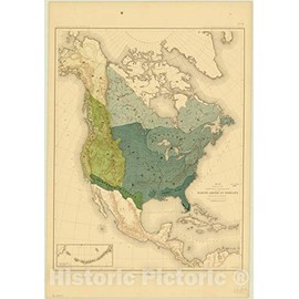 Historic Pictoric Map : North America Forest Trees 1884 6, Sixteen maps accompanying Report on Forest Trees of North America, Antique Vintage Reproduction : 16in x 24in