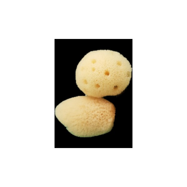 Martina Spa Collection Sea Sponge (Palm Size) - 2 Pack