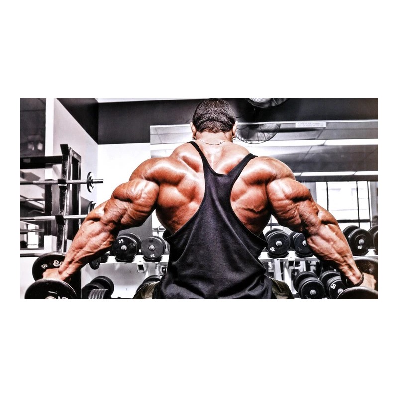 Ginkgo Biloba Original 120mg (3 Botellas)