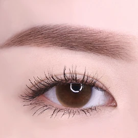 lilybyred AM9 to PM9 Survival Colorcara 6g - 05 블랙브라운