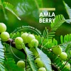 ALPHA01 Organic Amla Berry 1400mg - 90 Vegan Capsules -