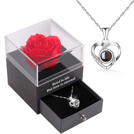 GPNNP Gifts for your girlfriend, eternal rose flower with necklace, anniversary rose gifts for your wives, wife on Valentine's Day, Christmas, birthday, Silver