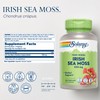 SOLARAY Irish Sea Moss 500 mg Naturally Occurring Vitamins, Minerals,