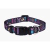 ASTORPET | Adjustable Dog Collar, Soft and Durable for Small,