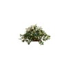 Maykoosh Artisanal Abode Artificial Plant in Decorative Planter