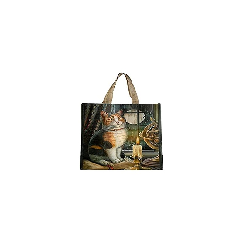 DV Fashions Puckator Lisa Parker Adventure Awaits Shopping Bag Cat