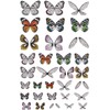 Tim Holtz, Advantus Transparent Wings, white 72 Count