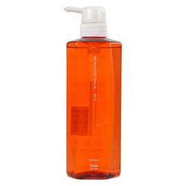 プロマスター カラーケア リッチ シャンプー 600ml