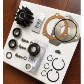 Sherwood Raw Water Pump Rebuild kit OEM Parts 23979 12665 G30-2B G9901 G9903
