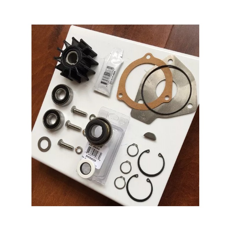 Sherwood Raw Water Pump Rebuild kit OEM Parts 23979 12665