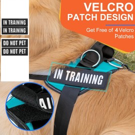 Essential Dog Harness, No Pull Pet Harness with 3 Side Rings for Leash Placement, No Choke, Reflective, Easy On-Off & Improved Control Handle, Training, Walking, Running (Turquoise, L)
