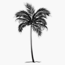 MAGNET Palm Tree Magnet Bumper Sticker Car Magnet Flexible Reuseable Magnetic Vinyl 5"