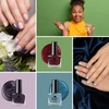 6 x Luxury 6 Assorted Pearl Fancy Colours Gift Box High Quality