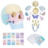 awagas New Human Anatomy Skull Model, 17 Part Puzzle of